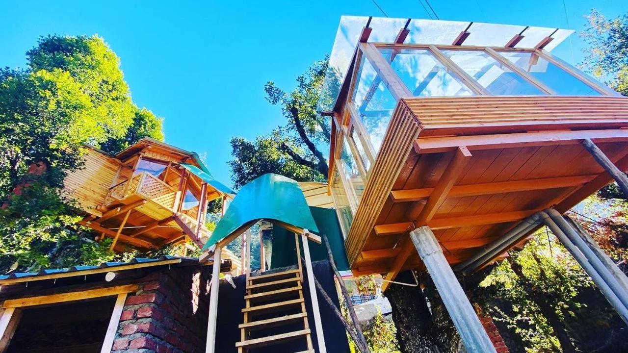 Manali Treehouse And Cafe * Manali (Himachal Pradesh)