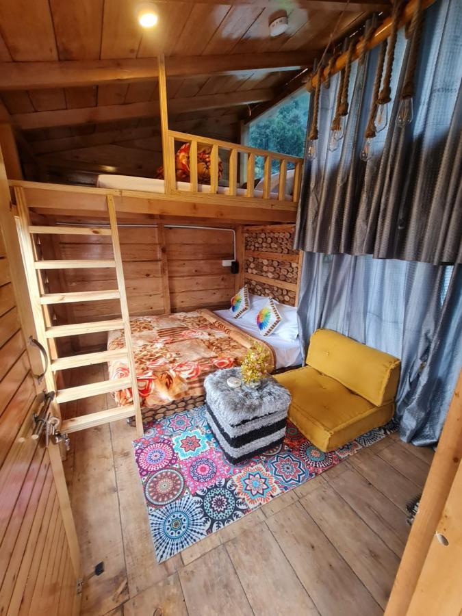 Resort Manali Treehouse And Cafe Manali (Himachal Pradesh)